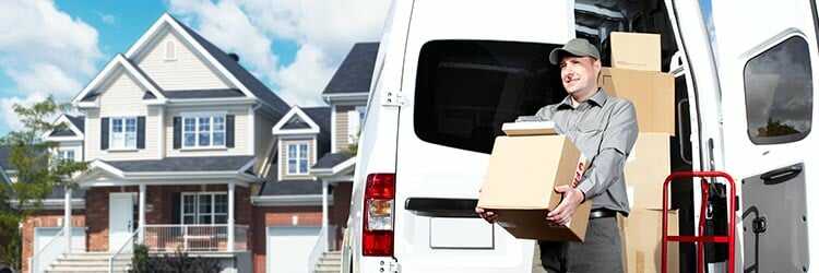 umzug ins ausland sp optimized