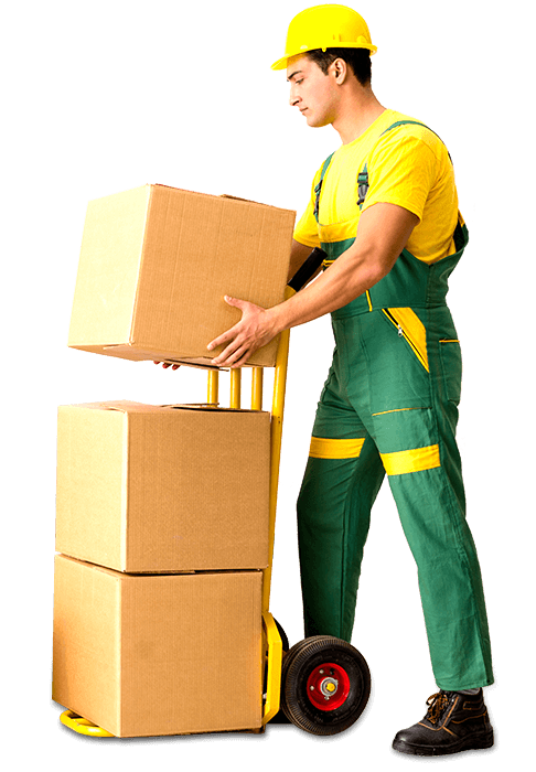 kosten für Umzug in Mainz