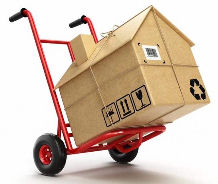 möbeltaxi mit askotrans team